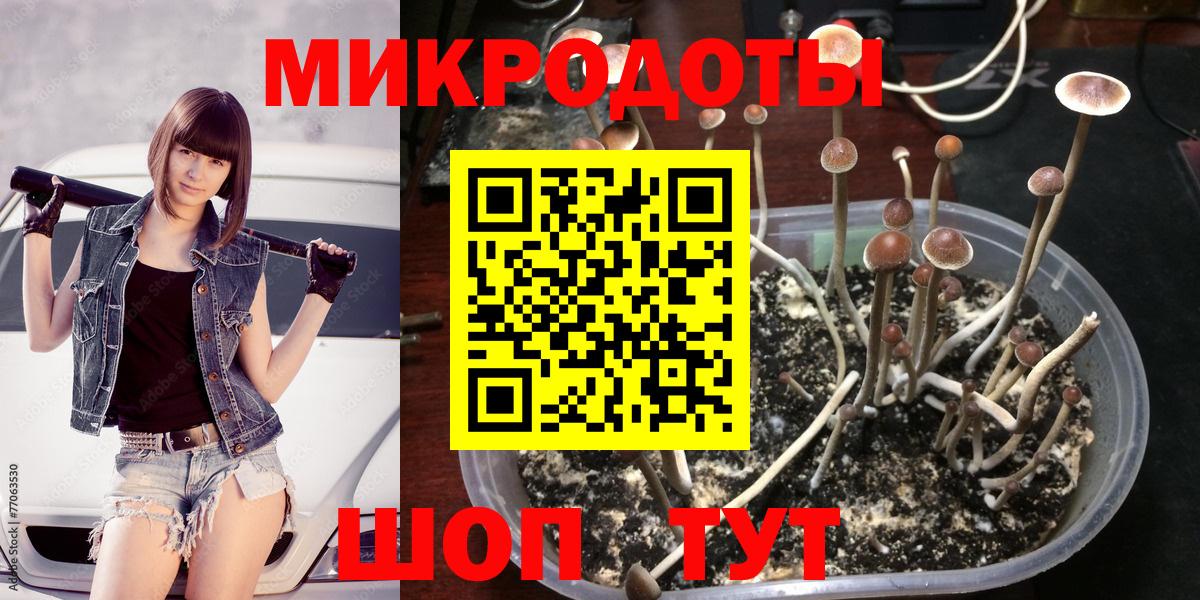 Волжский  Псилоцибиновые грибы MAGIC MUSHROOMS  Вход с VPN 